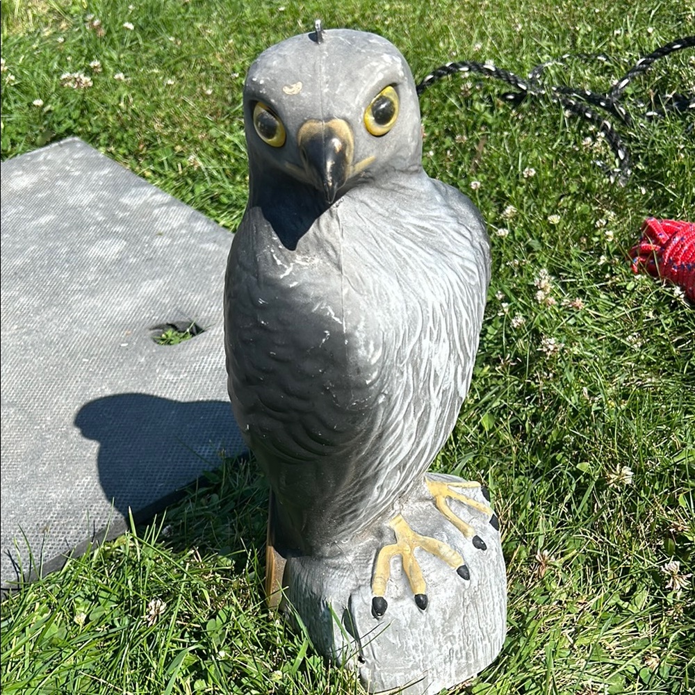 Gray Bird Deterrent Statue